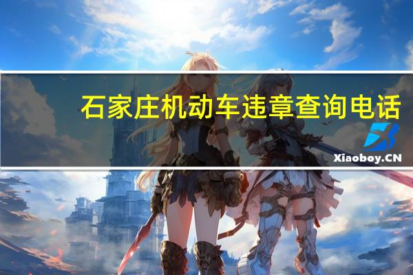 石家庄机动车违章查询电话（石家庄机动车驾驶人违章信息查询）