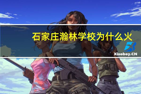 石家庄瀚林学校为什么火