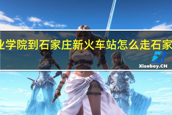 石家庄理工职业学院（北门）到石家庄新火车站怎么走 石家庄理工职业学院地址