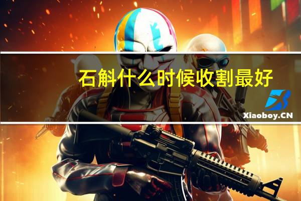 石斛什么时候收割最好