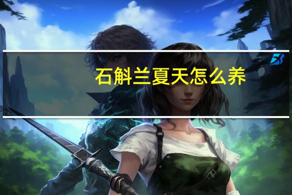 石斛兰夏天怎么养：避免暴晒勤浇水保湿