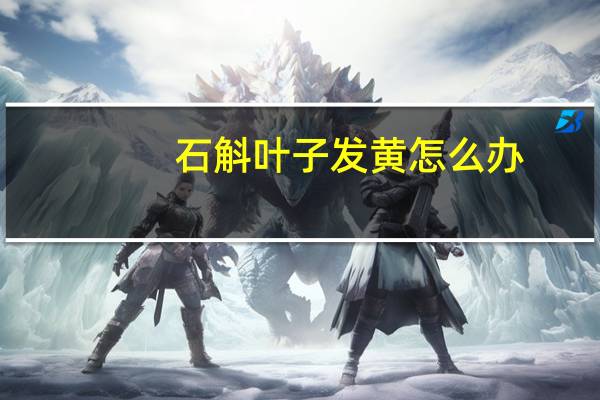 石斛叶子发黄怎么办