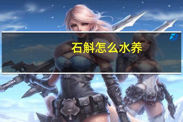 石斛怎么水养