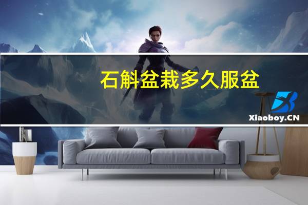 石斛盆栽多久服盆