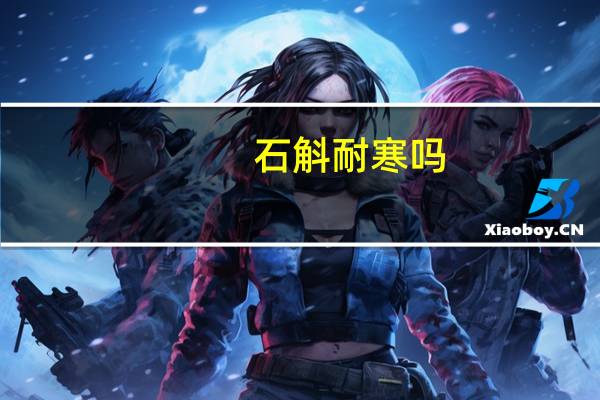 石斛耐寒吗