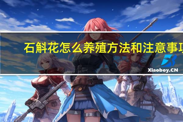 石斛花怎么养殖方法和注意事项