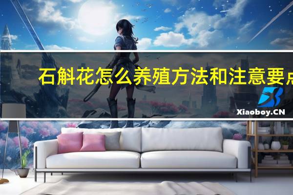 石斛花怎么养殖方法和注意要点