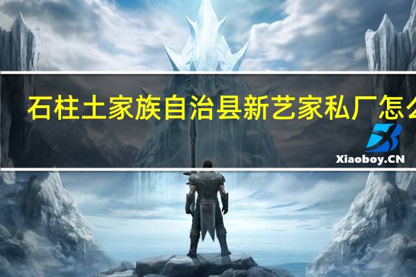 石柱土家族自治县新艺家私厂怎么样