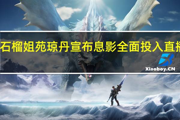 石榴姐苑琼丹宣布息影全面投入直播带货：酬劳比演员吸引人、更安全