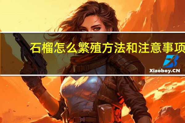石榴怎么繁殖方法和注意事项