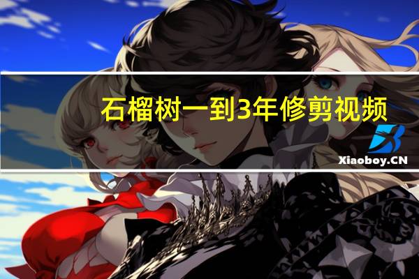 石榴树一到3年修剪视频