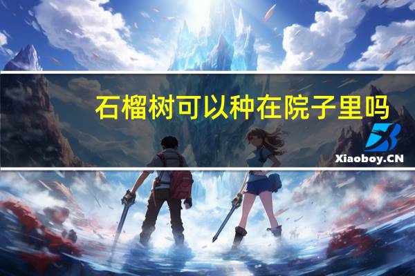 石榴树可以种在院子里吗