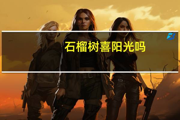 石榴树喜阳光吗