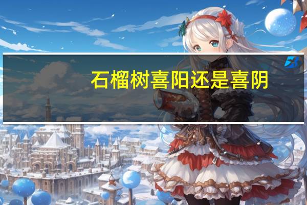 石榴树喜阳还是喜阴