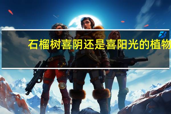 石榴树喜阴还是喜阳光的植物