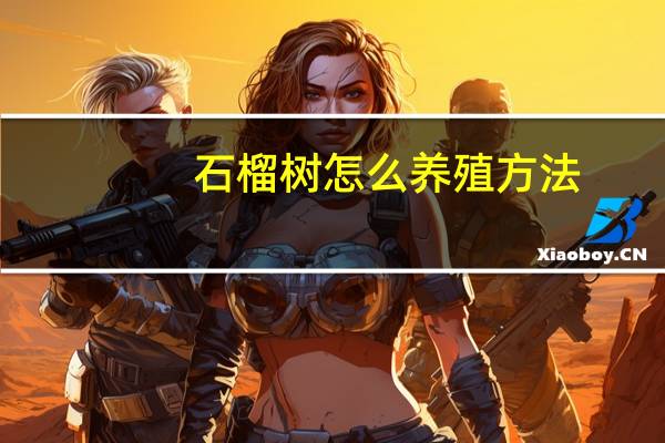 石榴树怎么养殖方法