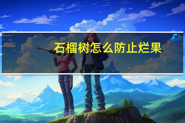 石榴树怎么防止烂果