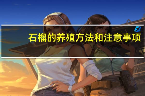 石榴的养殖方法和注意事项：低温会受冻害