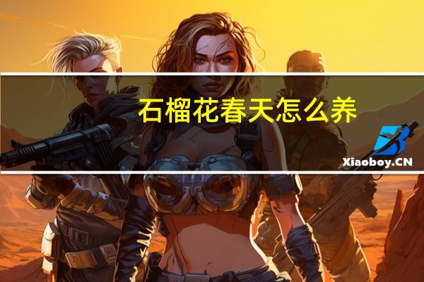 石榴花春天怎么养
