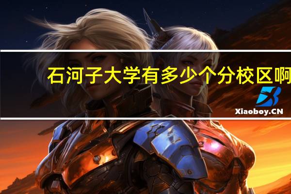 石河子大学有多少个分校区啊