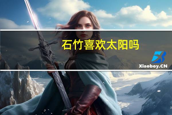 石竹喜欢太阳吗