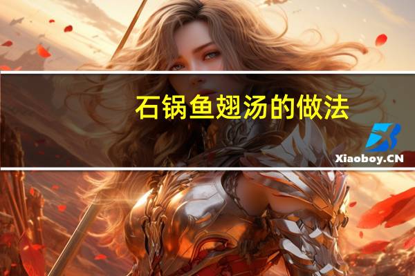 石锅鱼翅汤的做法