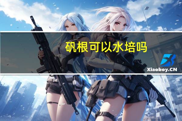 矾根可以水培吗