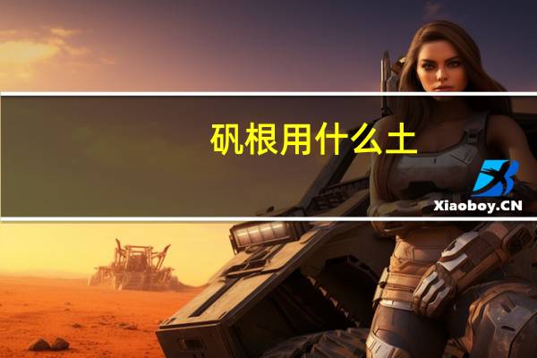 矾根用什么土
