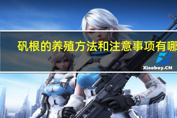 矾根的养殖方法和注意事项有哪些