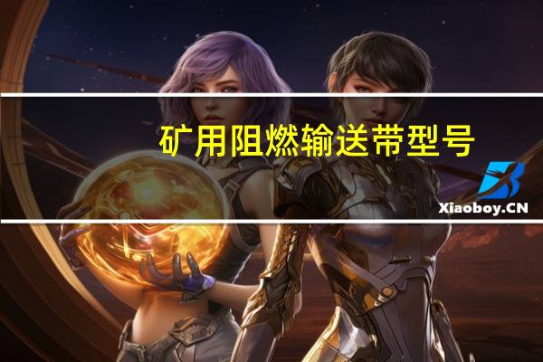 矿用阻燃输送带型号（矿用阻燃输送带简介）