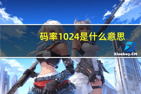 码率1024是什么意思（1024是什么意思）