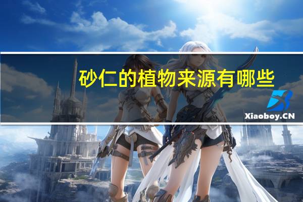 砂仁的植物来源有哪些