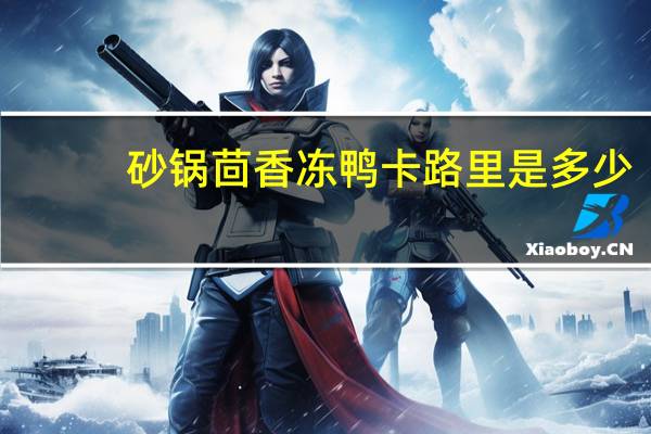 砂锅茴香冻鸭卡路里是多少