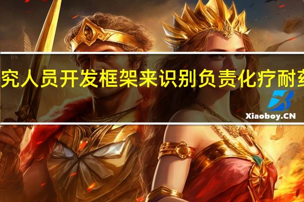 研究人员开发框架来识别负责化疗耐药的分子