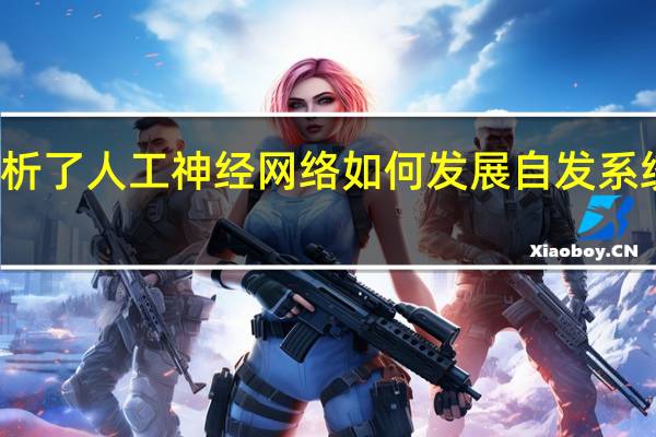 研究分析了人工神经网络如何发展自发系统来命名颜色