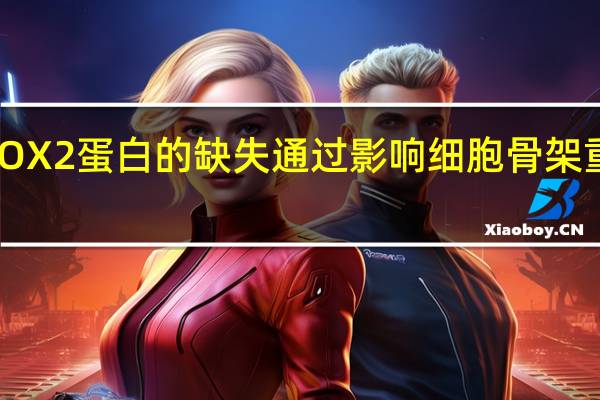 研究发现RBFOX2蛋白的缺失通过影响细胞骨架重塑促进胰腺癌转移