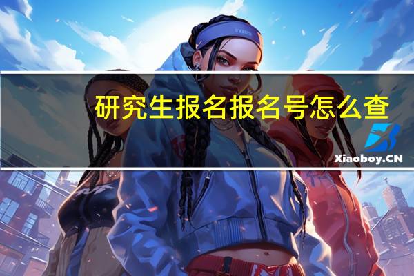 研究生报名报名号怎么查
