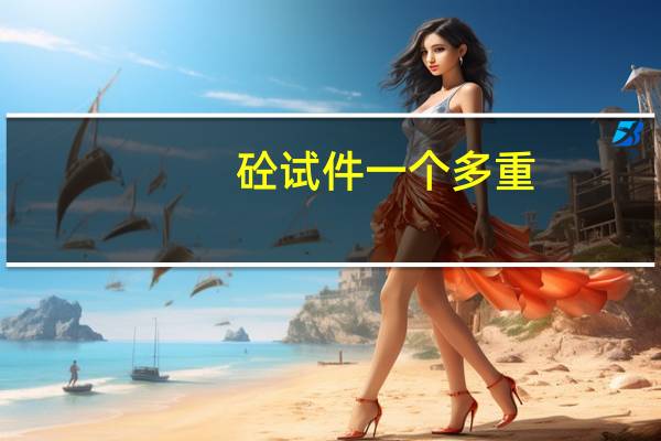 砼试件一个多重