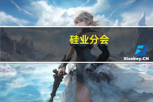 硅业分会：硅料成交放缓 价格短暂僵持