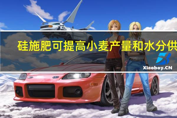 硅施肥可提高小麦产量和水分供应