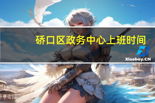 硚口区政务中心上班时间（政务中心上班时间）