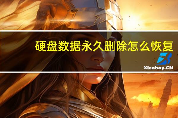 硬盘数据永久删除怎么恢复（硬盘数据永久删除）