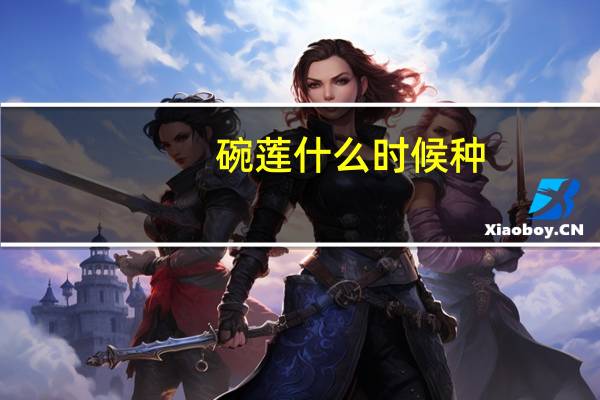 碗莲什么时候种:水温保持在16℃以上