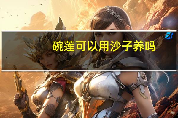 碗莲可以用沙子养吗