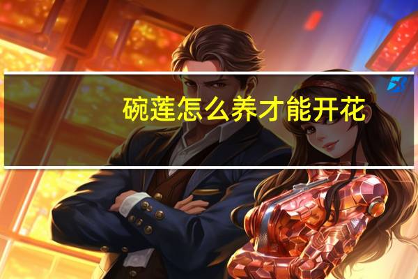 碗莲怎么养才能开花