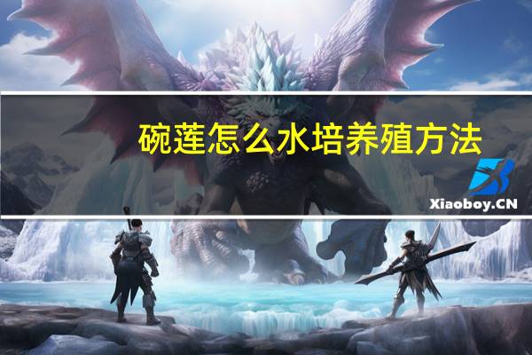 碗莲怎么水培养殖方法