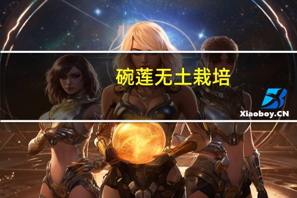 碗莲无土栽培：无土栽培关键是适合的基质固定好种子