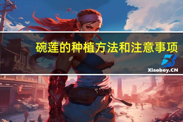 碗莲的种植方法和注意事项