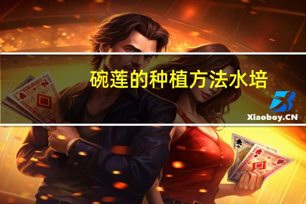 碗莲的种植方法水培