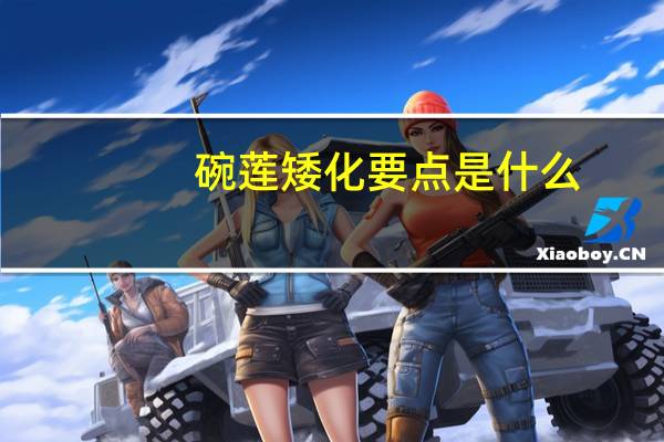 碗莲矮化要点是什么